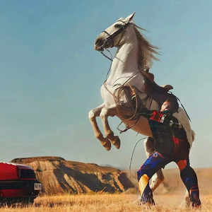 Ryanconner丰满大屁股
